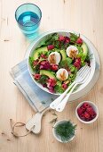 Mixed leaf salad with avocado, raspberries, goat's cheese, dill and pine nuts