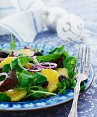 A mixed leaf salad with orange slices, olives and Bermuda onions