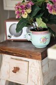 Hydrangea planted in vintage teacup on rustic wooden flower stand