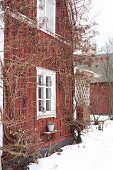 Falu red wooden house with white windows in snowy garden