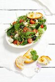 Gemischter Blattsalat mit Rucola, Spinat, Kirschtomaten, Mozzarella, Oliven, Pinienkernen und Kresse
