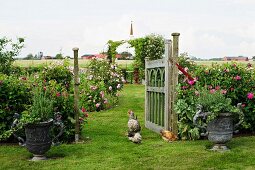 Rustic garden with chickens wandering amongst planted urns and open wooden gate with view of rose bushes