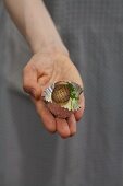 A hand holding vegetarian sushi