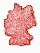 Mettwurst in Form der Landkarte von Deutschland