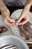 Anchovies being cleaned