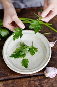 Parsley being prepared