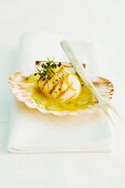 Grilled scallops in a lemon and saffron sauce