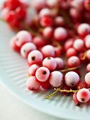 A plate of frozen redcurrants