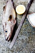 Frisch gefangener Seelachs aus Cornwall mit Zitrone und Meersalz