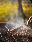 Hirschspiesse auf dem Grill beim Herbstpicknick