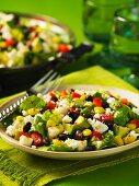 Mexican vegetable salad with sheep's cheese