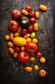 Various varieties of tomatoes