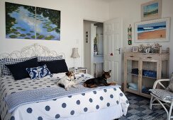 Dog on blue and white bed cover in rustic, maritime bedroom