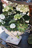 Planted arrangement in urn