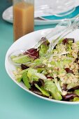 Grüner Salat mit Haselnussdressing