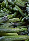 Cucumbers at a market