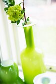Flower in lime green glass vase
