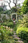 Sonnenbeschienener Garten mit Weg aus einzelnen Platten, im Hintergrund Gartenzaun aus Holzgitter