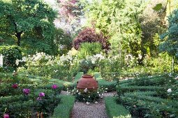 Urn at intersection of gravel paths between flowerbeds edged in low hedges in sunny garden