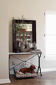 Dachshund lying in vintage-style metal dig bed under Art Nouveau console table with antique vase and small, potted olive tree