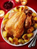 A whole roast turkey with roast potatoes and red cabbage for Christmas