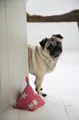 Dog peering round door with hand-sewn pyramid doorstop