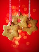 Gingerbread stars hanging from ribbons