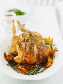 Lemon and thyme chicken