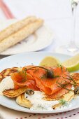 Ricotta pancakes with smoked salmon with a mustard and dill cream