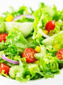 Salad with cherry tomatoes, cucumber, pepper and onions