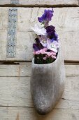 Violette Blumen in Holzschuh