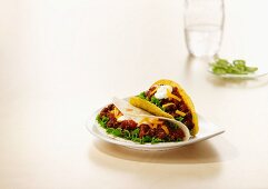 Tacos mit Rindfleischfüllung