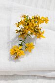 Flowering St John's Wort on a linen cloth outside