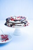 Meringue cake with chocolate sauce and pomegranate seeds