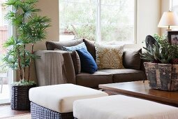 Modernes Wohnzimmer mit Couch, Rattan-Sitzhockern & Zimmerpflanze