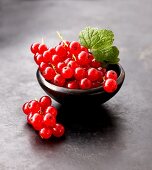 Rote Johannisbeeren