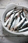 Fresh, raw sardines