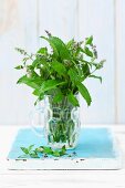 Fresh, flowering mint in a glass of water