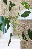 Philodendron und Stehleuchte mit weißem Metallschirm vor grafisch floralem Tapetenmuster im Retrostil