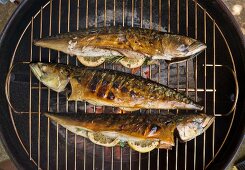 Grilled mackerel