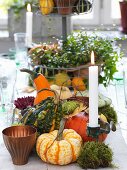 Herbstliche Tischdeko mit Zierkürbissen, Moos und Kerze