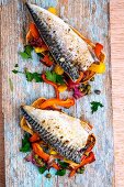 Grilled mackerel with peppers and capers on toast