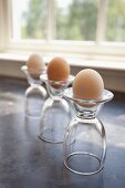 Eggs in glass egg cups