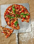 Vegetable pizza with tomatoes, aubergines and rocket, sliced