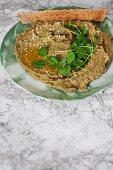 Hummus with chickpeas, avocado, sesame seeds and coriander