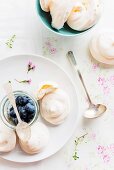 Zarte Rosenwasser-Pavlovas mit frischen Blaubeeren