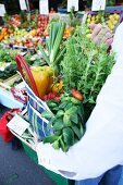 Fresh vegetables and herbs in a checked shopping bag
