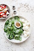 A seafood salad and mozzarella with spinach