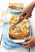 Salmon, spinach and tomato lasagne