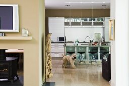 Hund in offener Küche mit sandfarbenen Wänden, Barhocker mit schwarzen Sitzschalen vor Theke mit Glastüren an Unterschränken